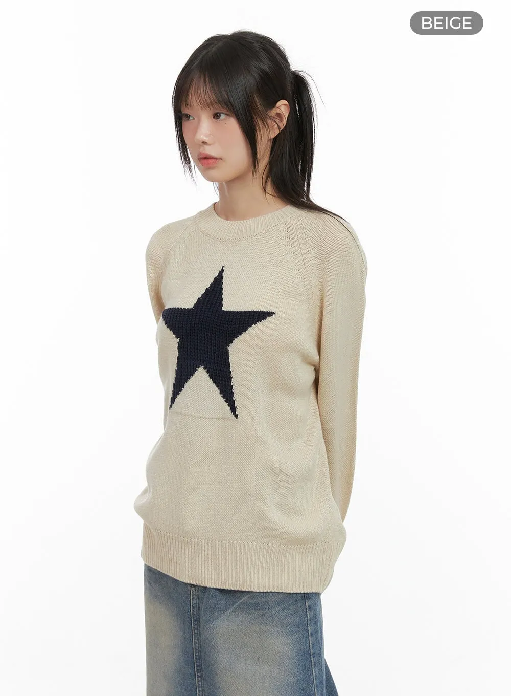 Casual Oversized Raglan Sweater CS412