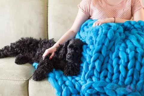 DIY Hand Knit Kit, Lap Throw 30x50 in, Merino wool